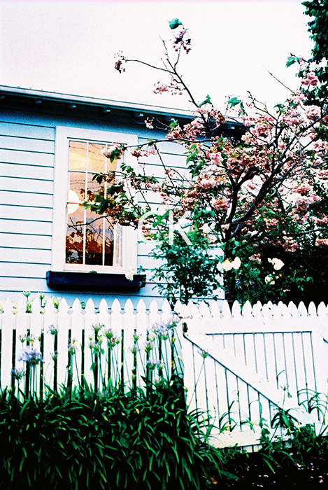 NZ_03_06