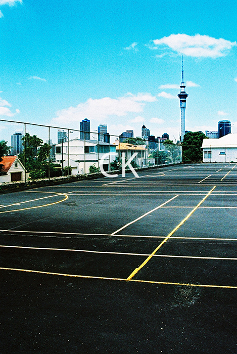 NZ_03_19