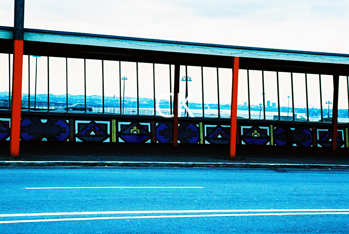 NZ_04_32