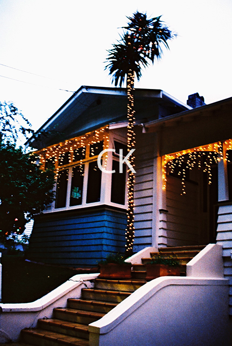 NZ_04_37