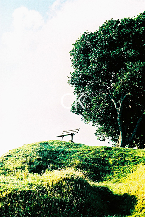 NZ_05_31