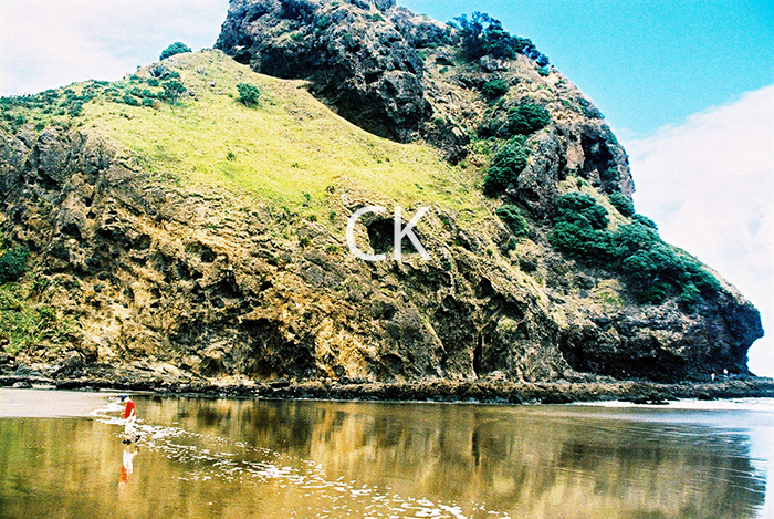 NZ_06_16