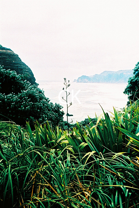NZ_06_21