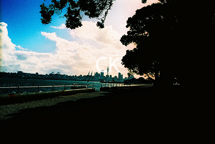 NZ_06_35