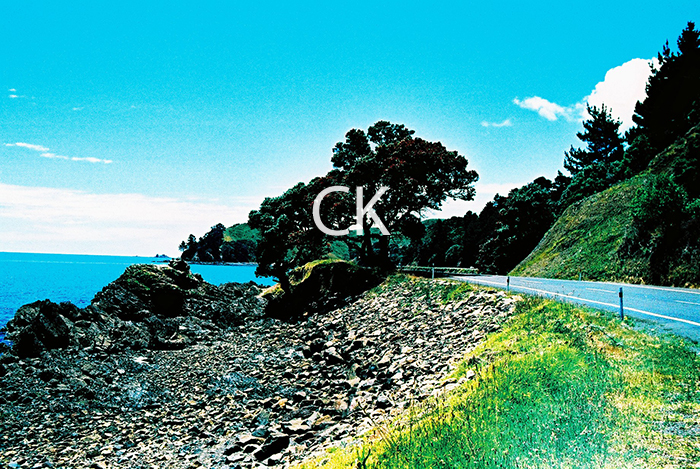 NZ_09_22
