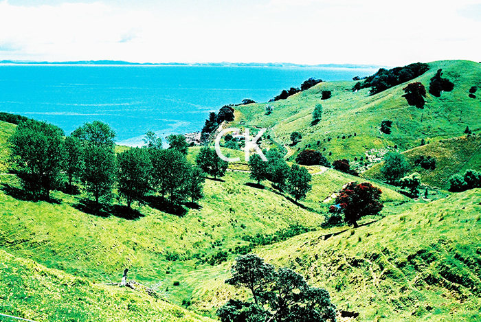 NZ_09_24