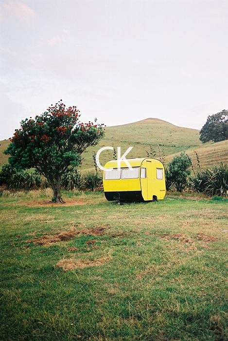 NZ_10_26