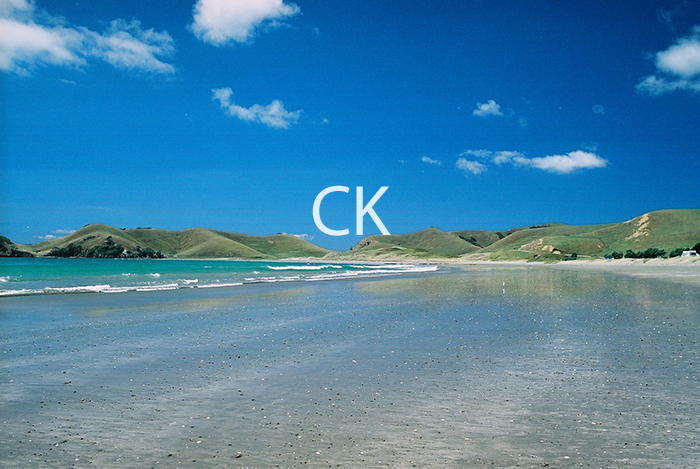 NZ_11_13