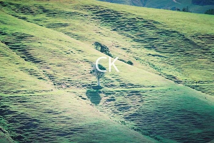 NZ_11_24