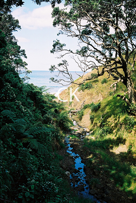 NZ_11_27
