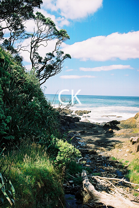 NZ_11_30