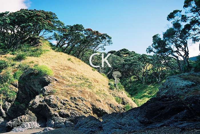 NZ_11_32