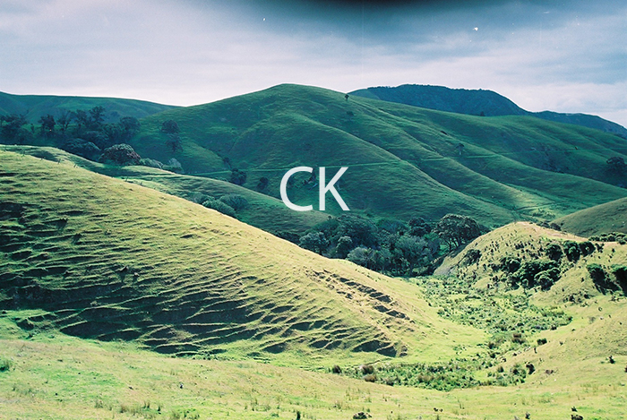 NZ_11_36