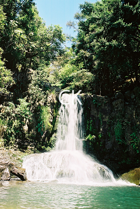 NZ_12_09
