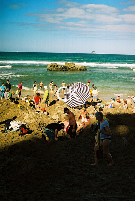 NZ_12_23
