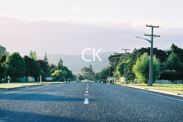 NZ_12_36