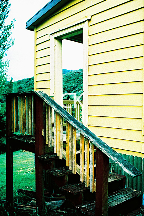 NZ_13_14