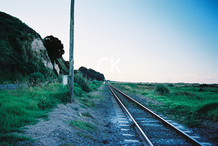 NZ_15_13