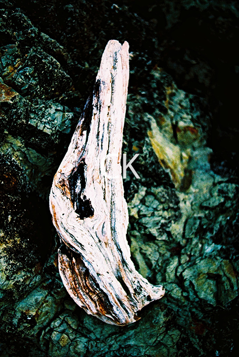 NZ_17_04