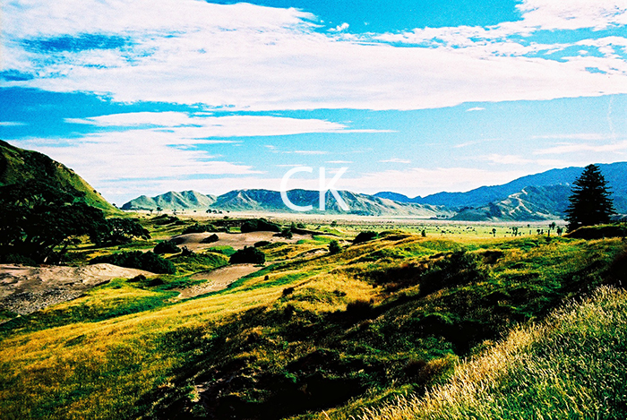 NZ_19_37