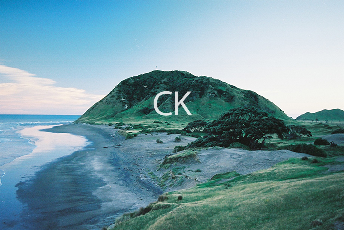 NZ_20_24