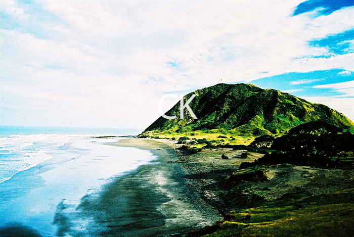 NZ_21_04