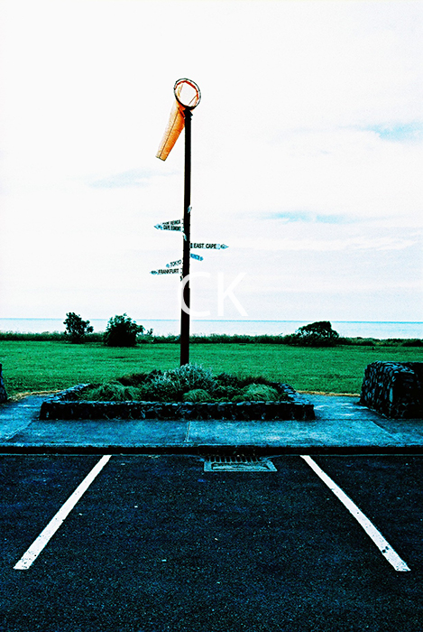 NZ_22_31