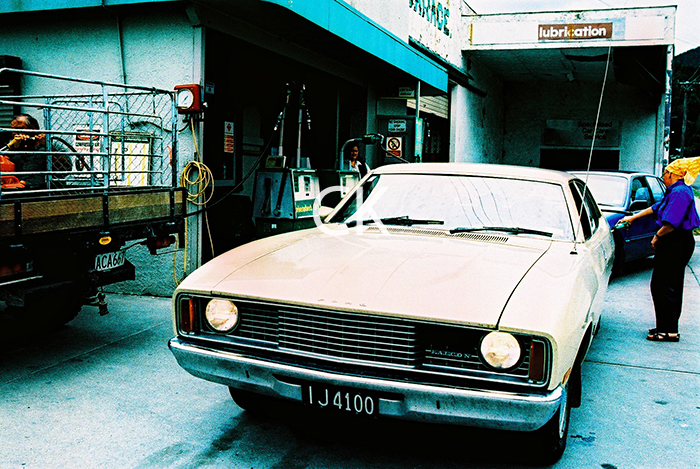 NZ_25_11
