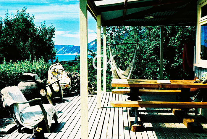 NZ_26_35
