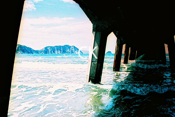 NZ_28_14
