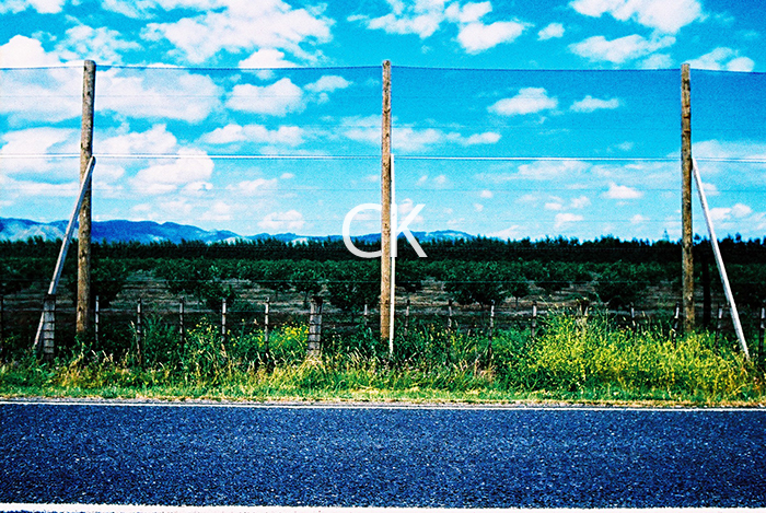 NZ_30_04