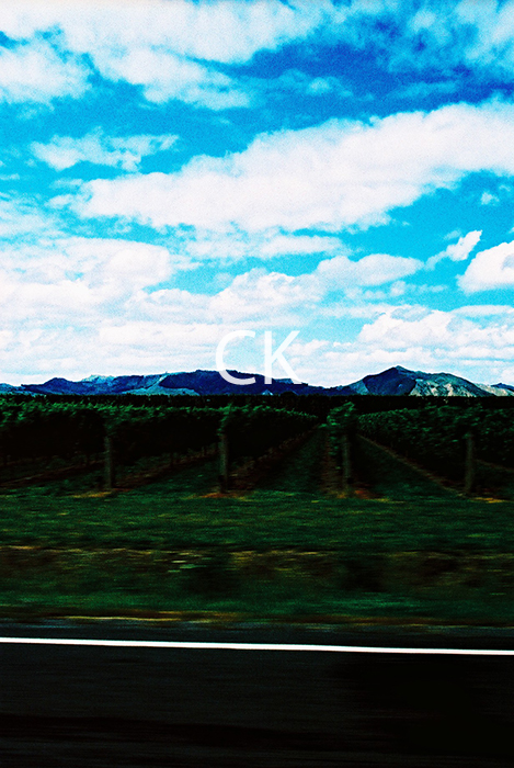 NZ_30_07