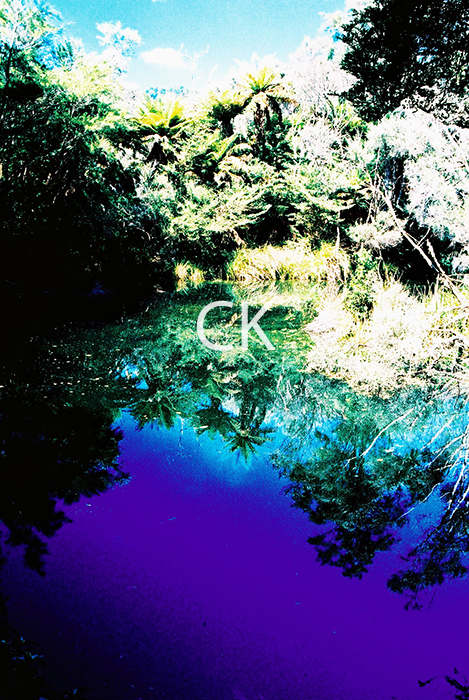 NZ_40_14