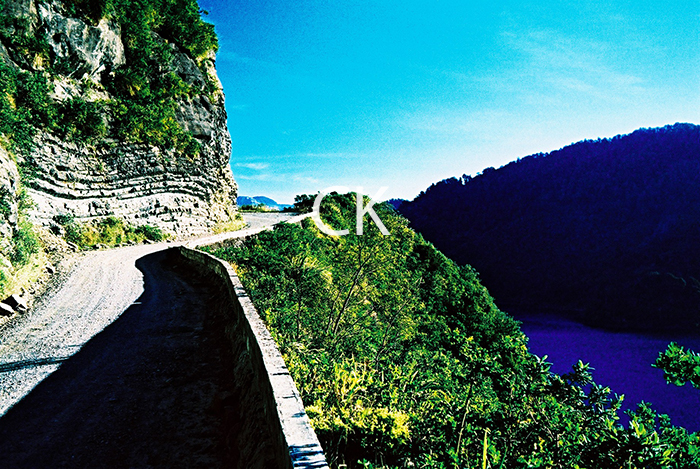 NZ_43_07