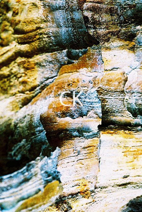 NZ_50_13
