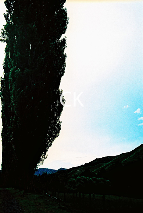 NZ_54_04
