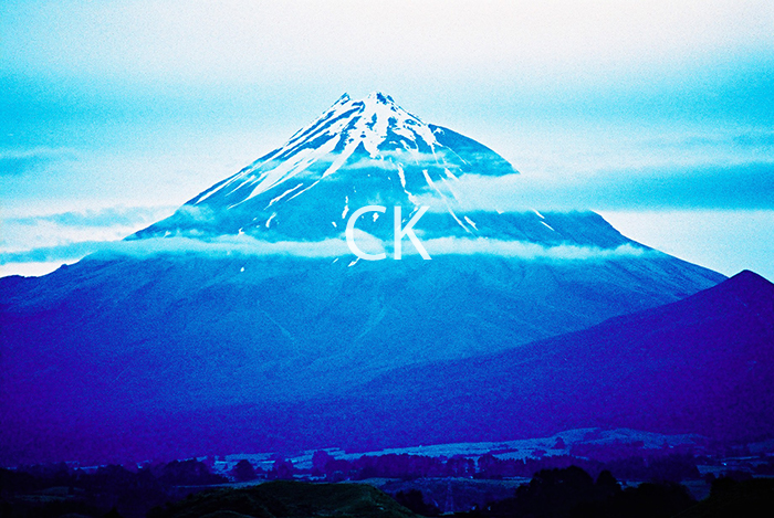 NZ_55_20