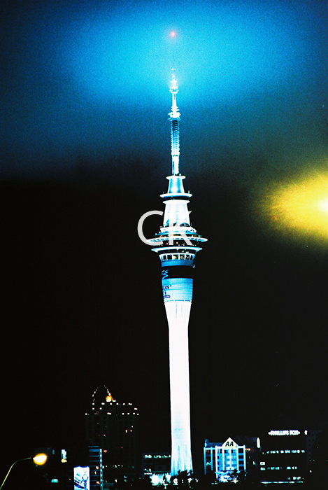 NZ_55_31