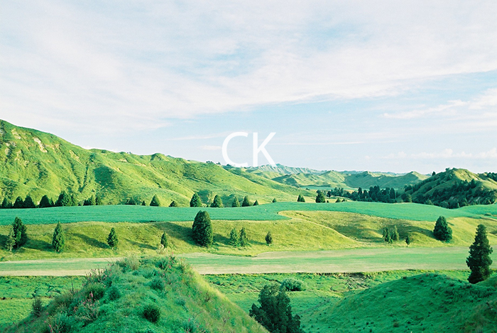 NZ_56_07