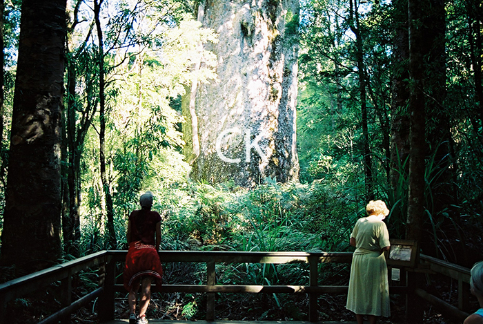 NZ_60_18