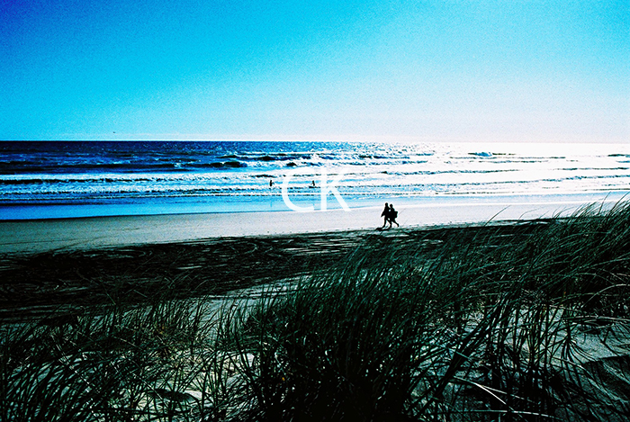 NZ_64_06