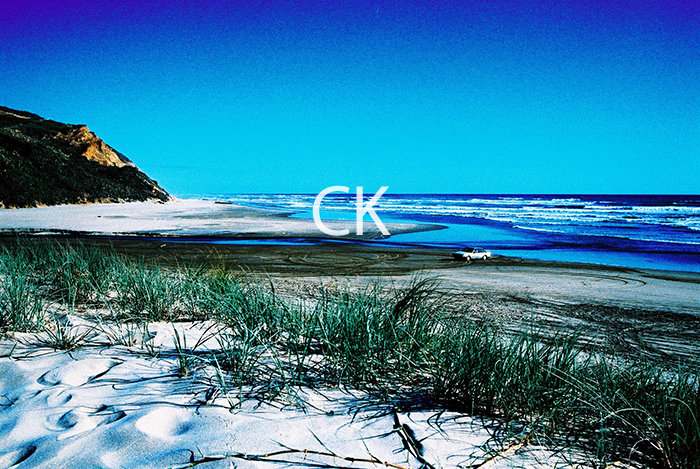 NZ_64_11