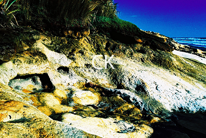 NZ_64_22