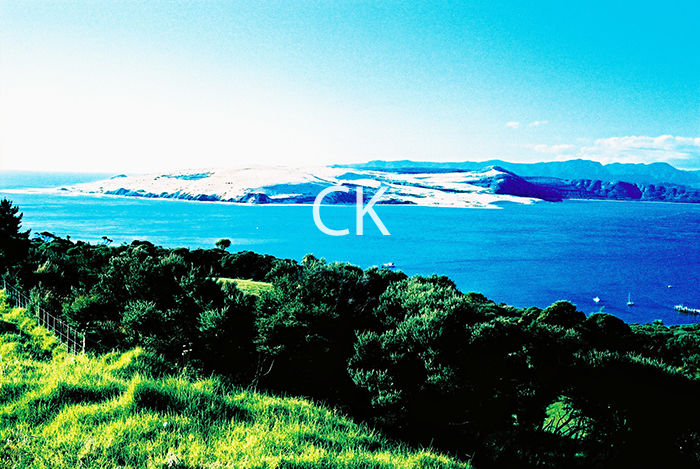 NZ_66_03