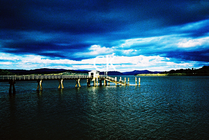 NZ_66_29