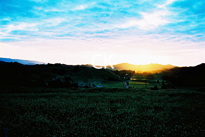 NZ_67_06