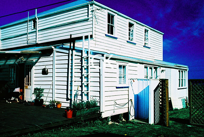 NZ_67_29