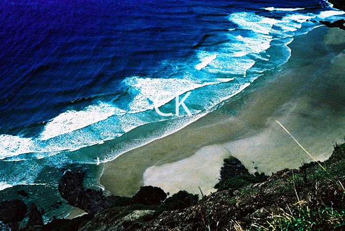 NZ_68_13