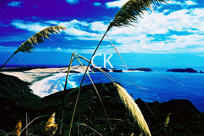 NZ_68_19