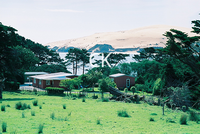 NZ_69_19